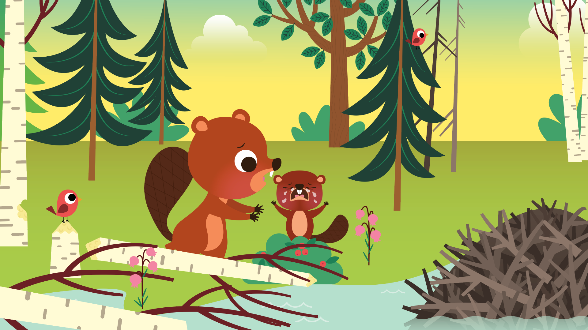 Passe-Partout | Attraction Images | Télé-Québec