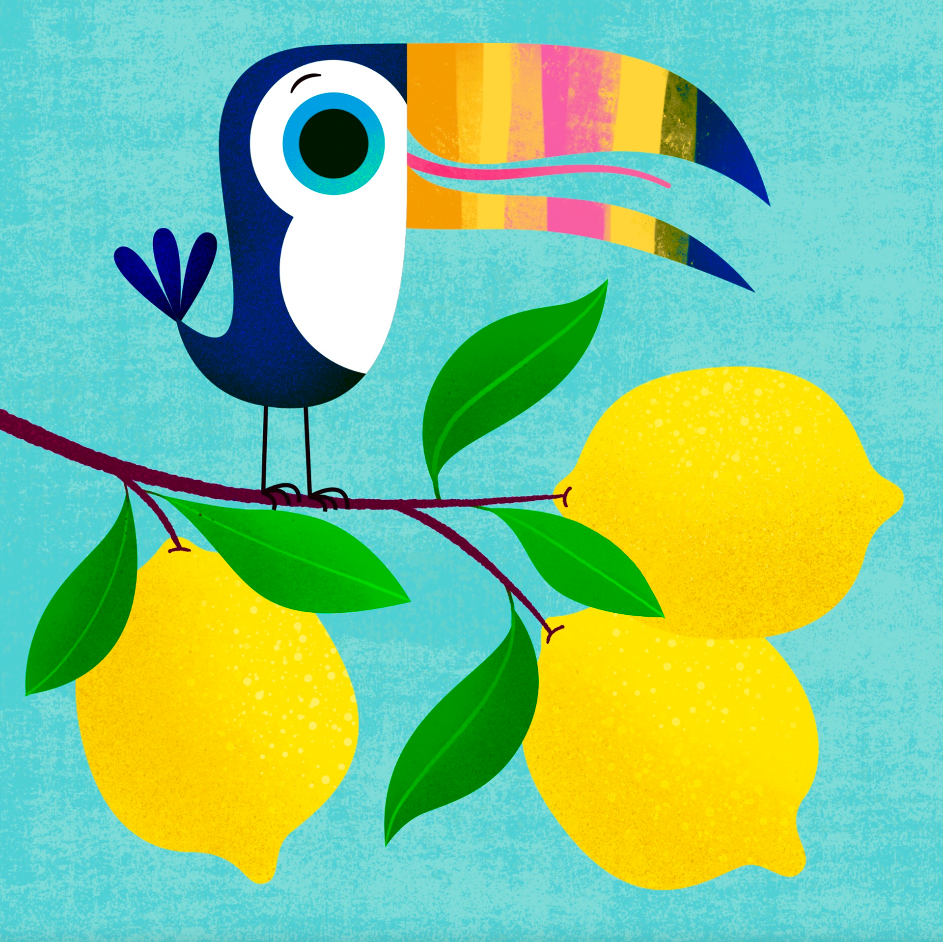 Toucan | 2023 | Étude de textures avec Procreate | Illustration numérique | Format final : 10 x 10 pouces