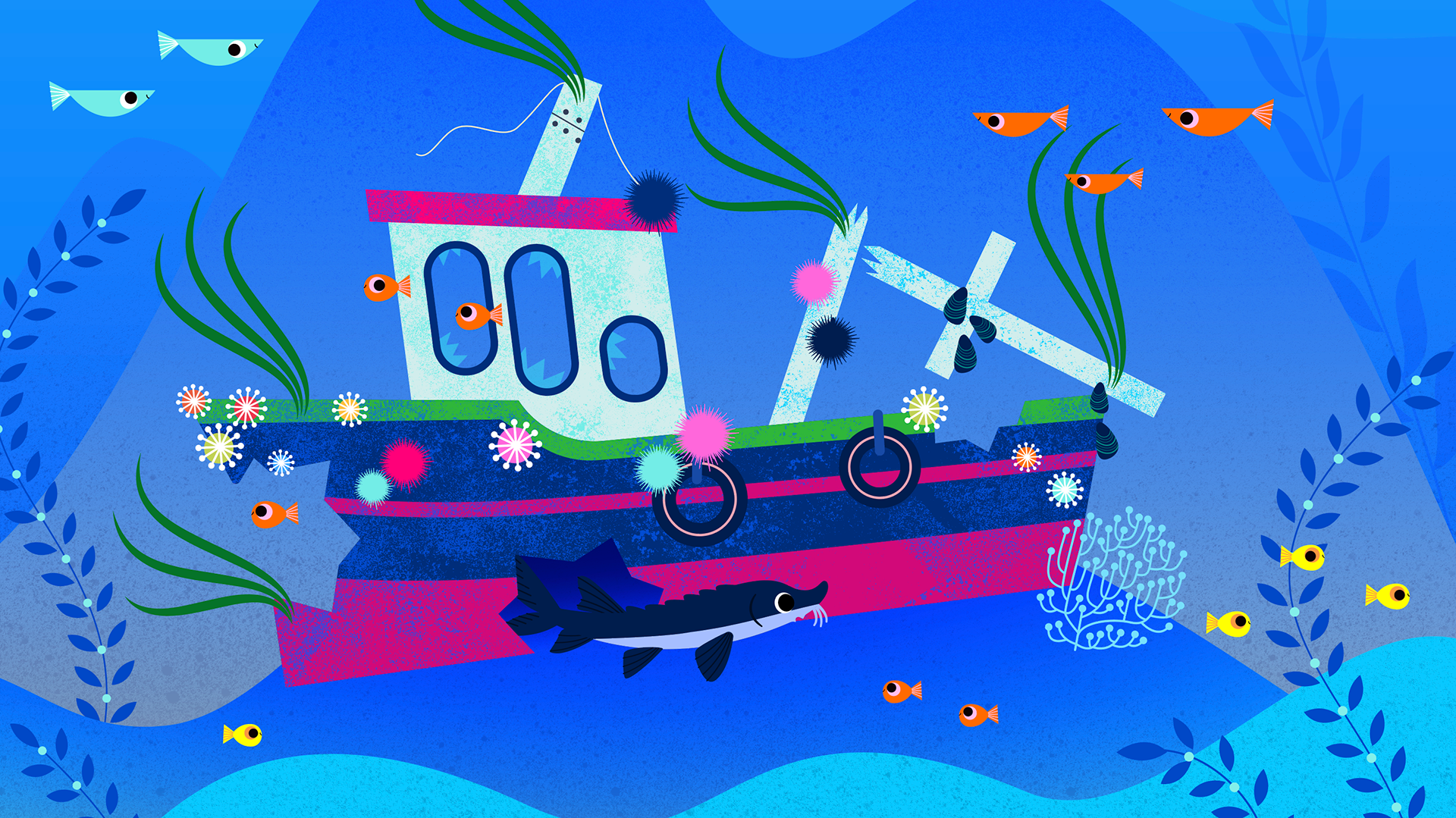 Passe-Partout | Attraction Images | Télé-Québec