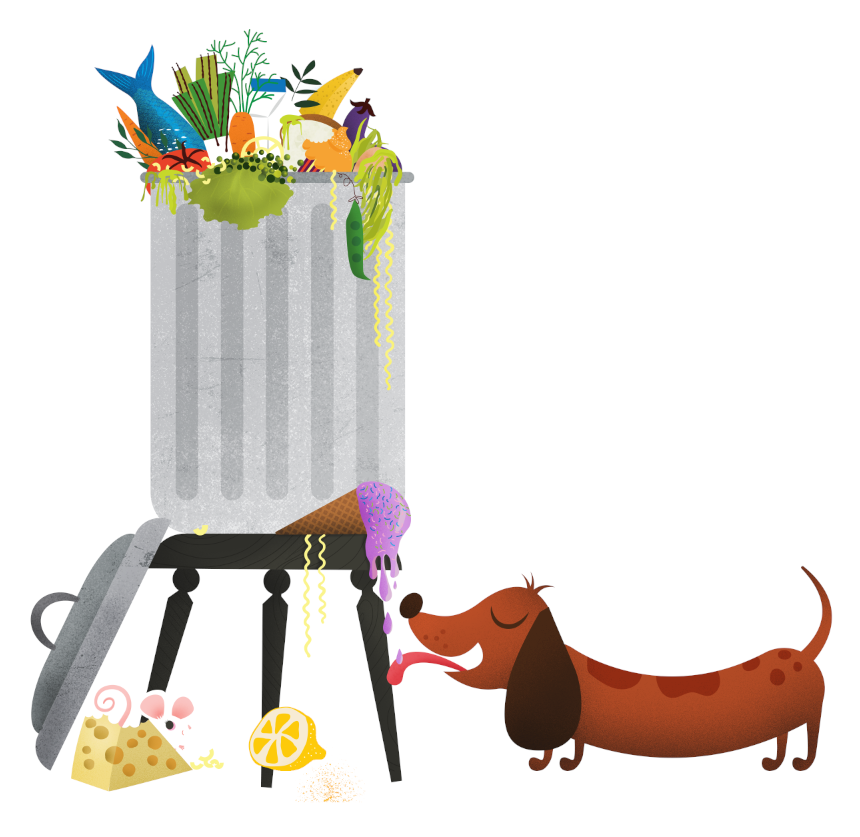 Chickadee Magazine | Owlkids / Bayard