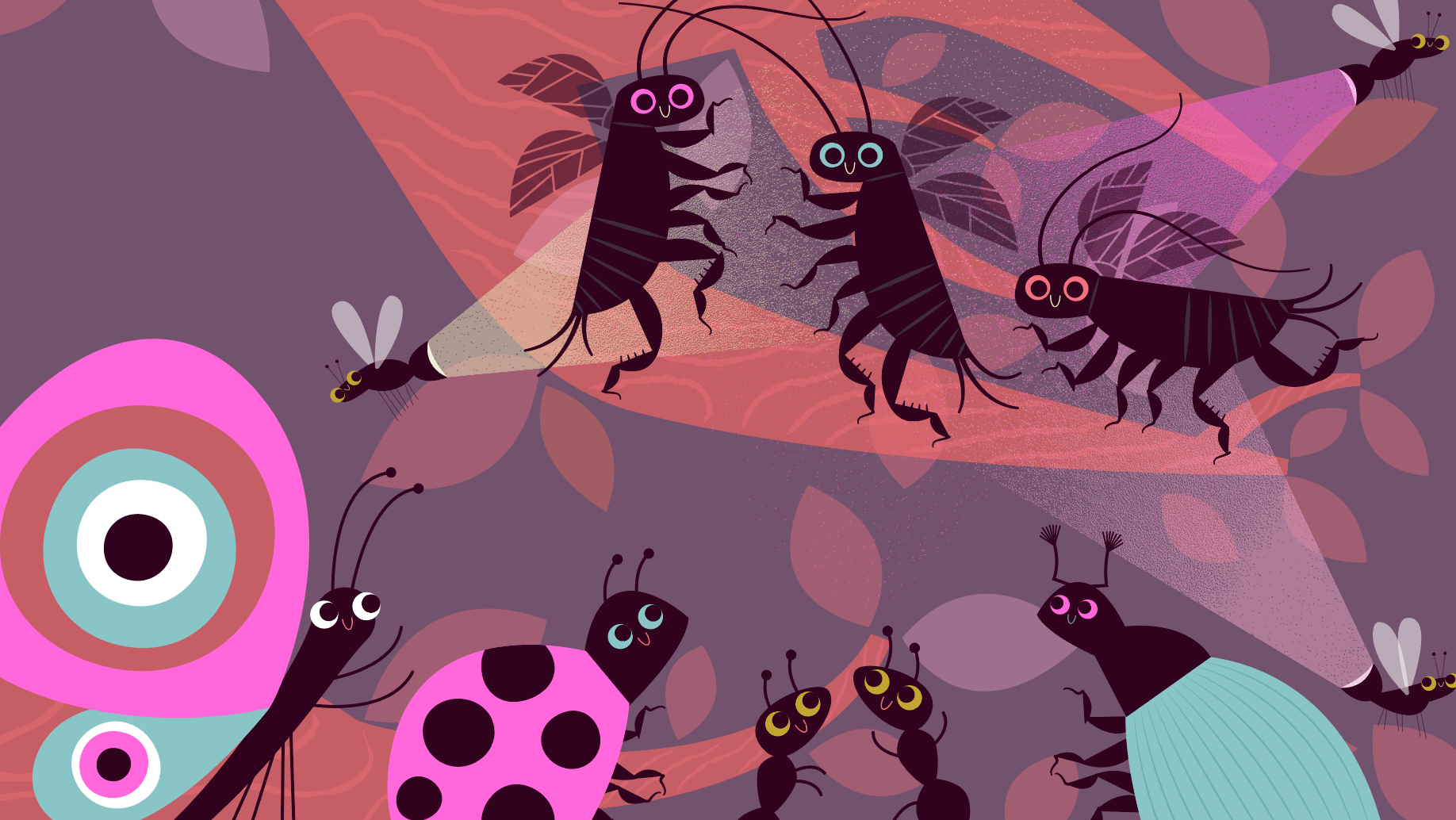 Passe-Partout | Attraction Images | Télé-Québec