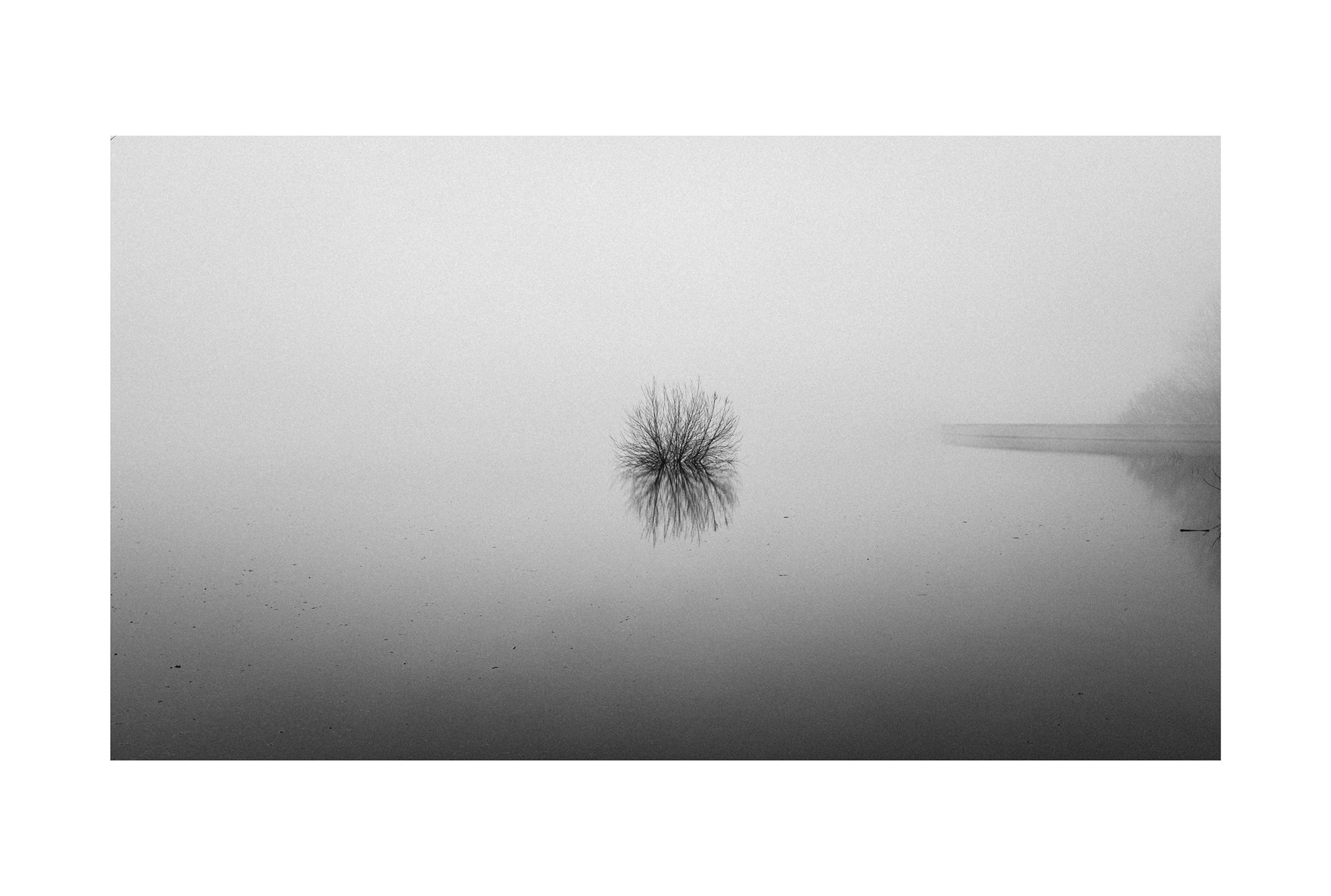 © C. Yuhki Oka