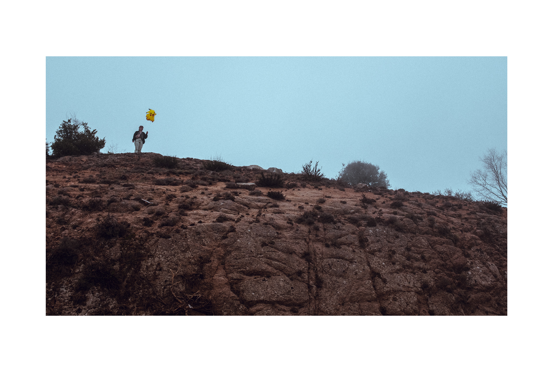 © C. Yuhki Oka