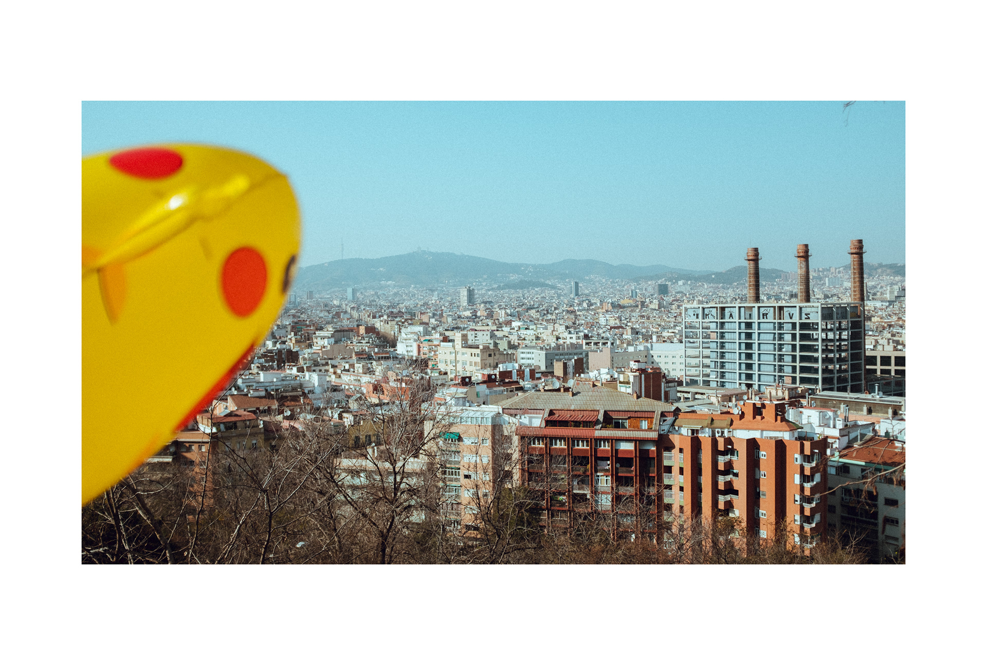 © C. Yuhki Oka
