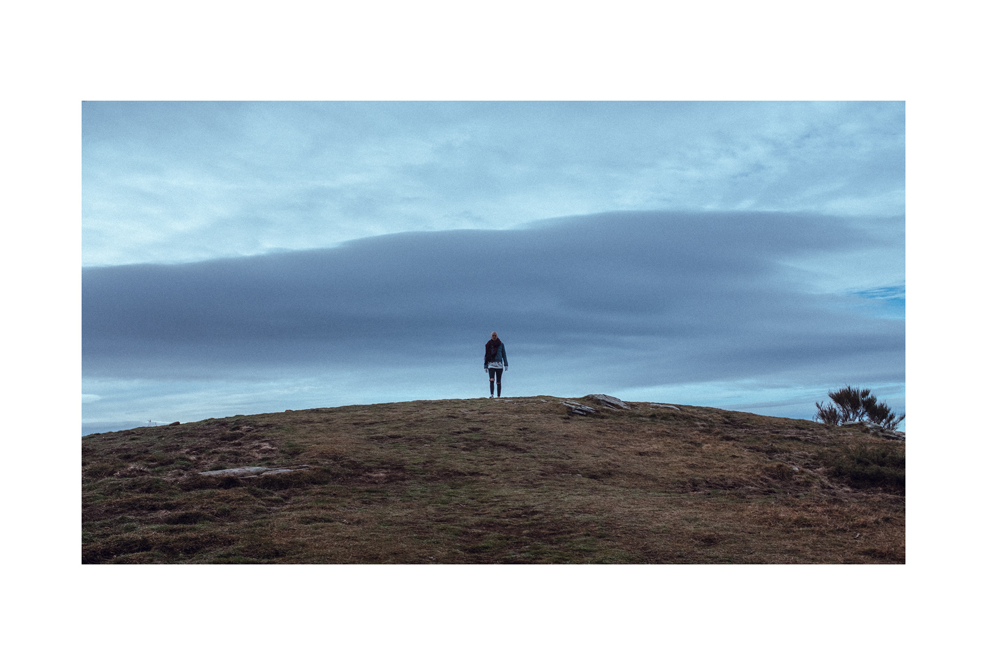 © C. Yuhki Oka