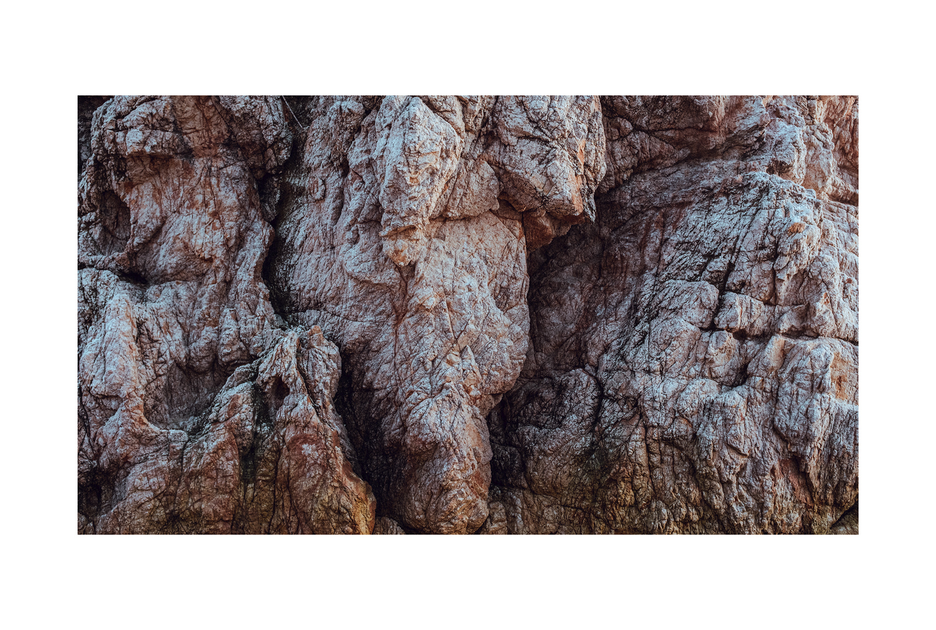 © C. Yuhki Oka
