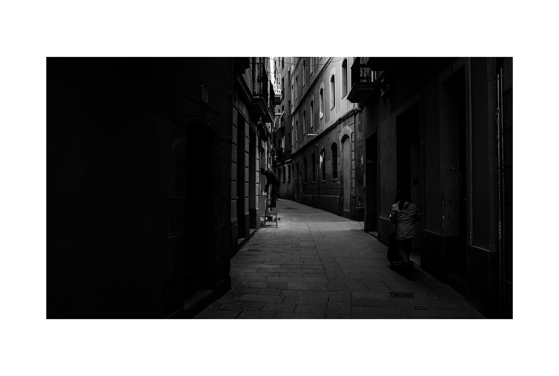 © C. Yuhki Oka