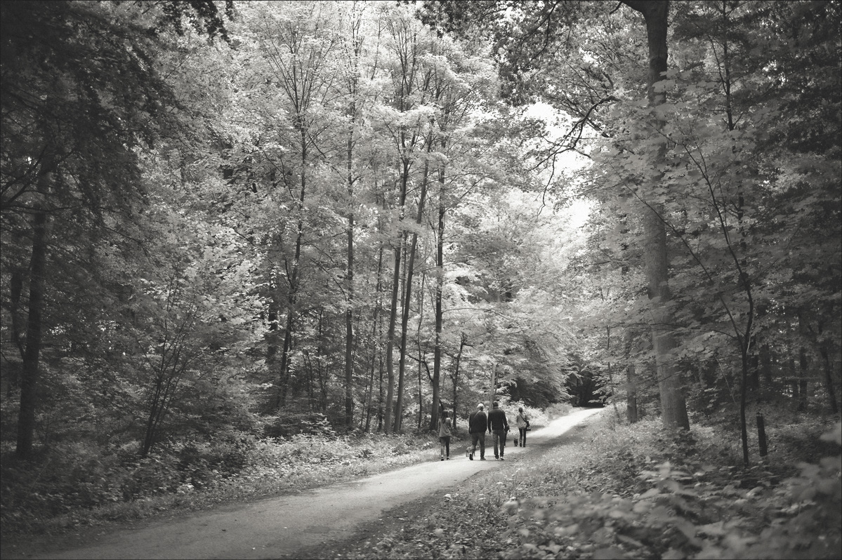 Woods