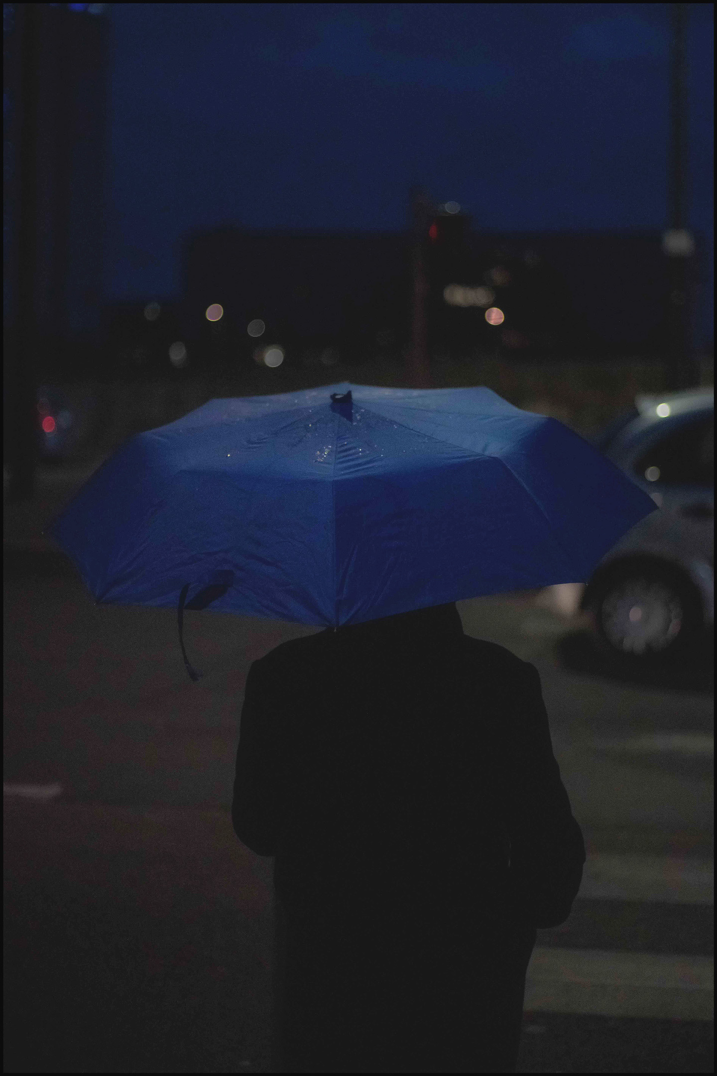 Umbrella