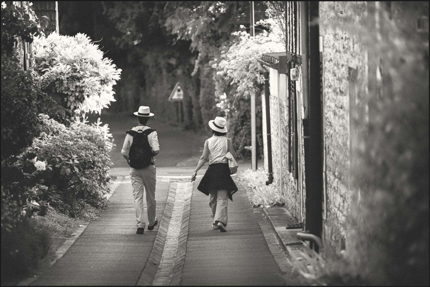 Walk, Giverny