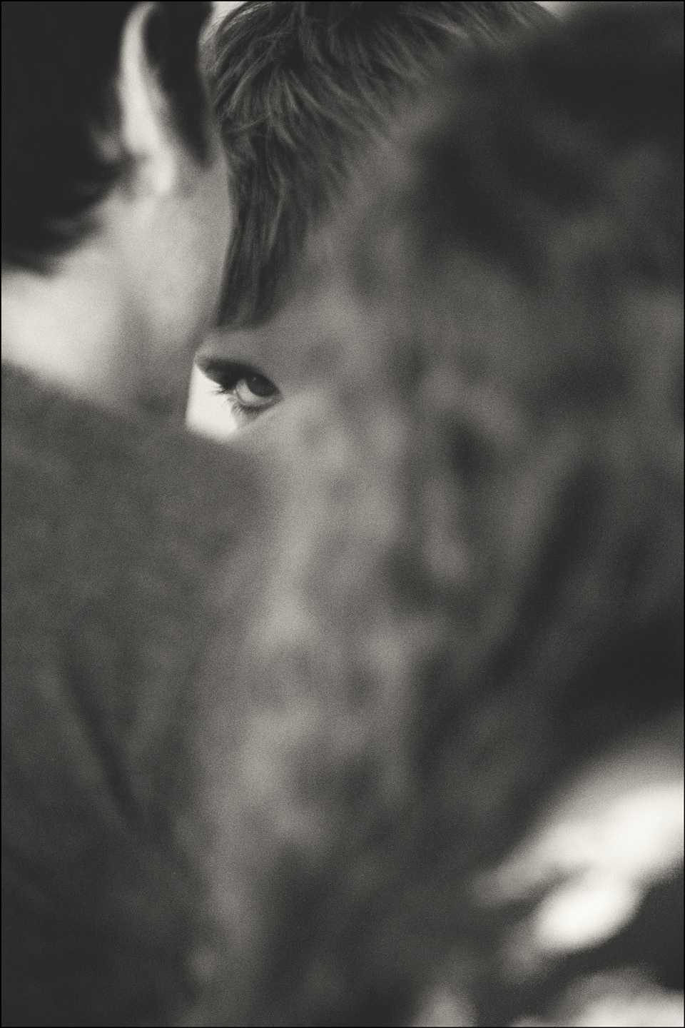 The eye