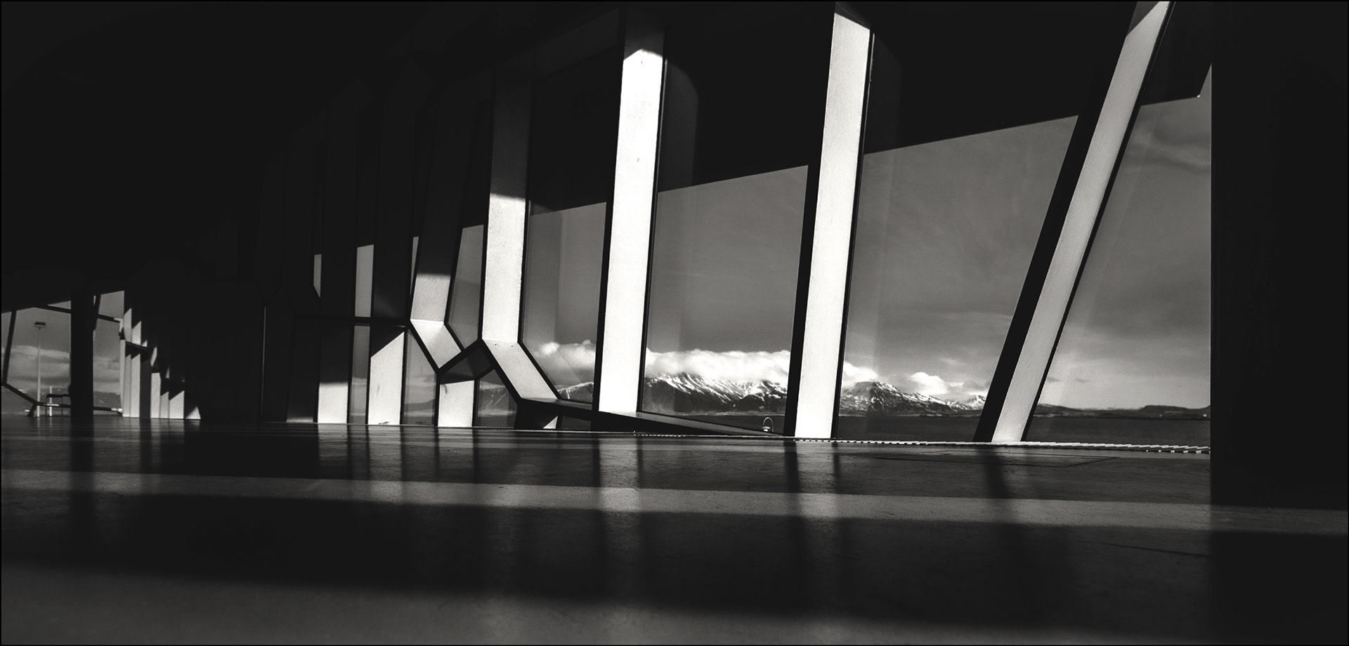 Reykjavik Harpa