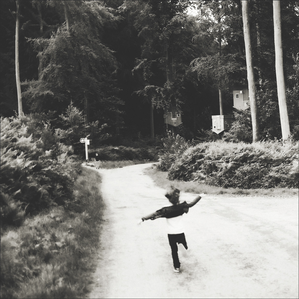 Bois Guillaume, Foret Monumentale