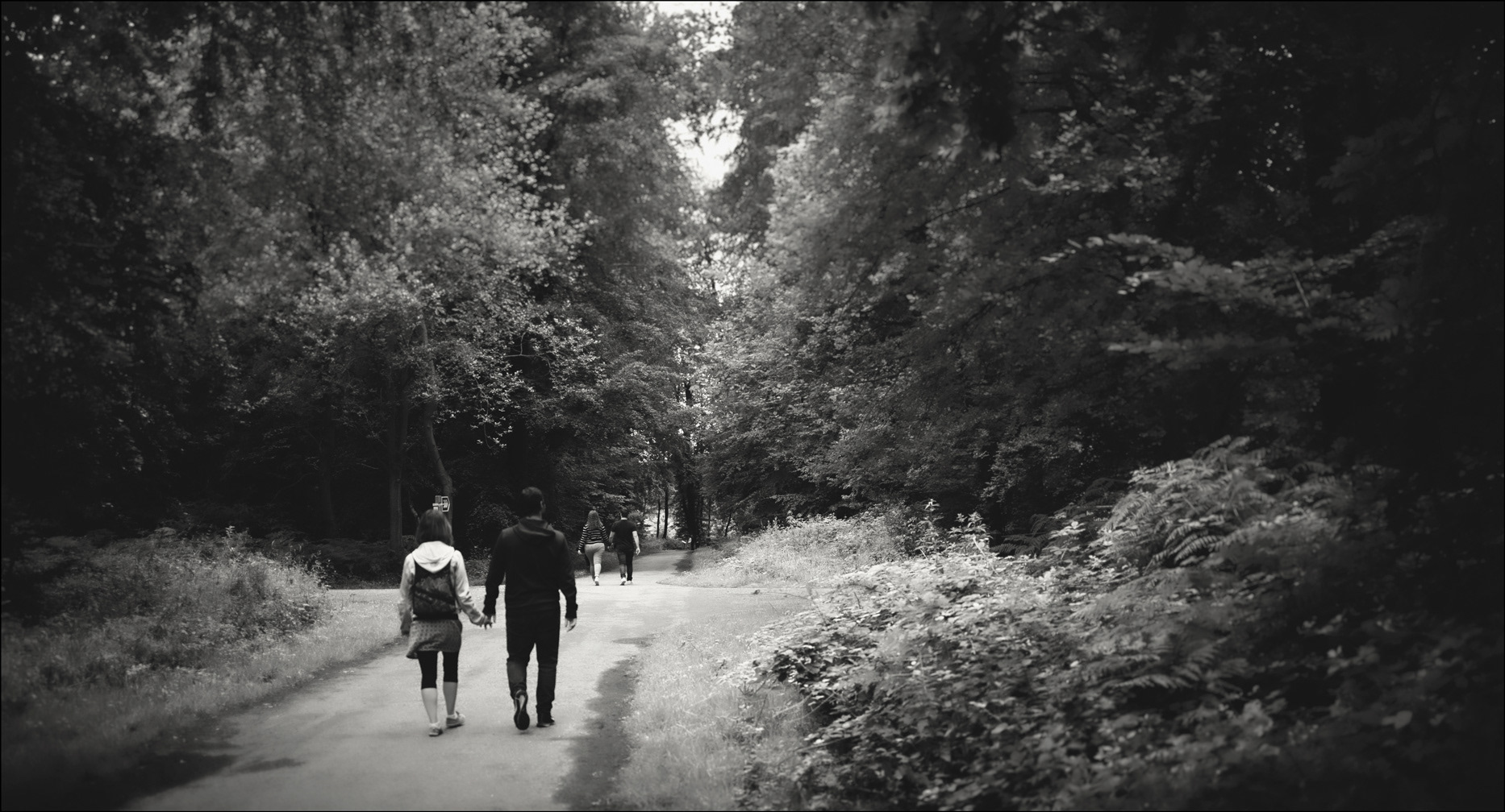 Walking through the Trees