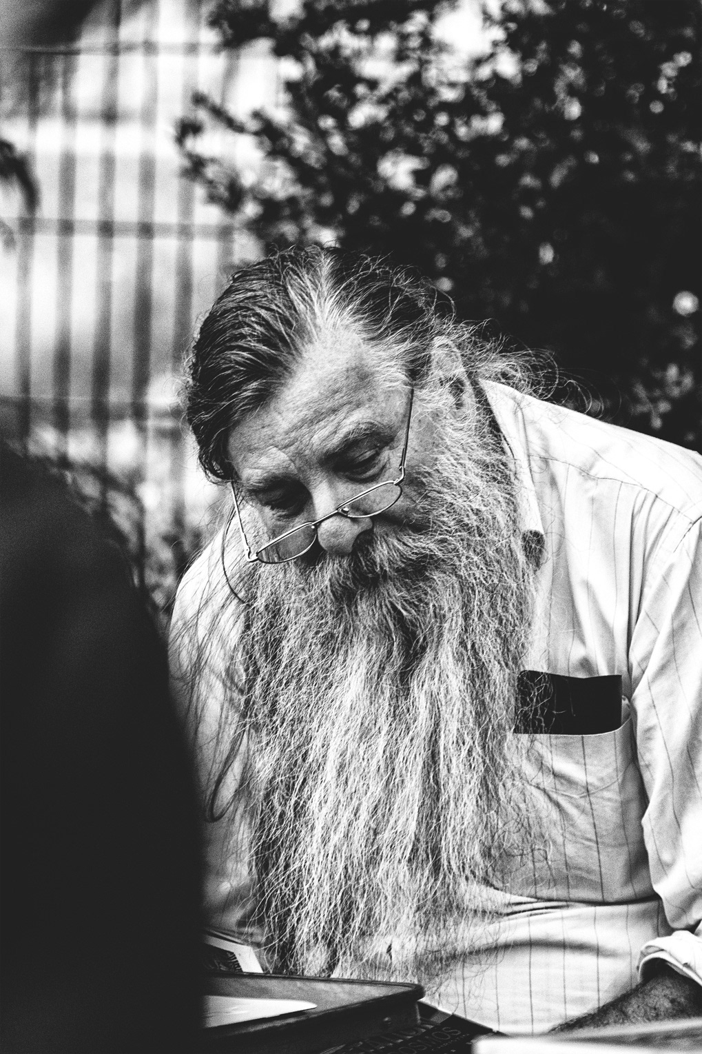 Barbe de Noel
