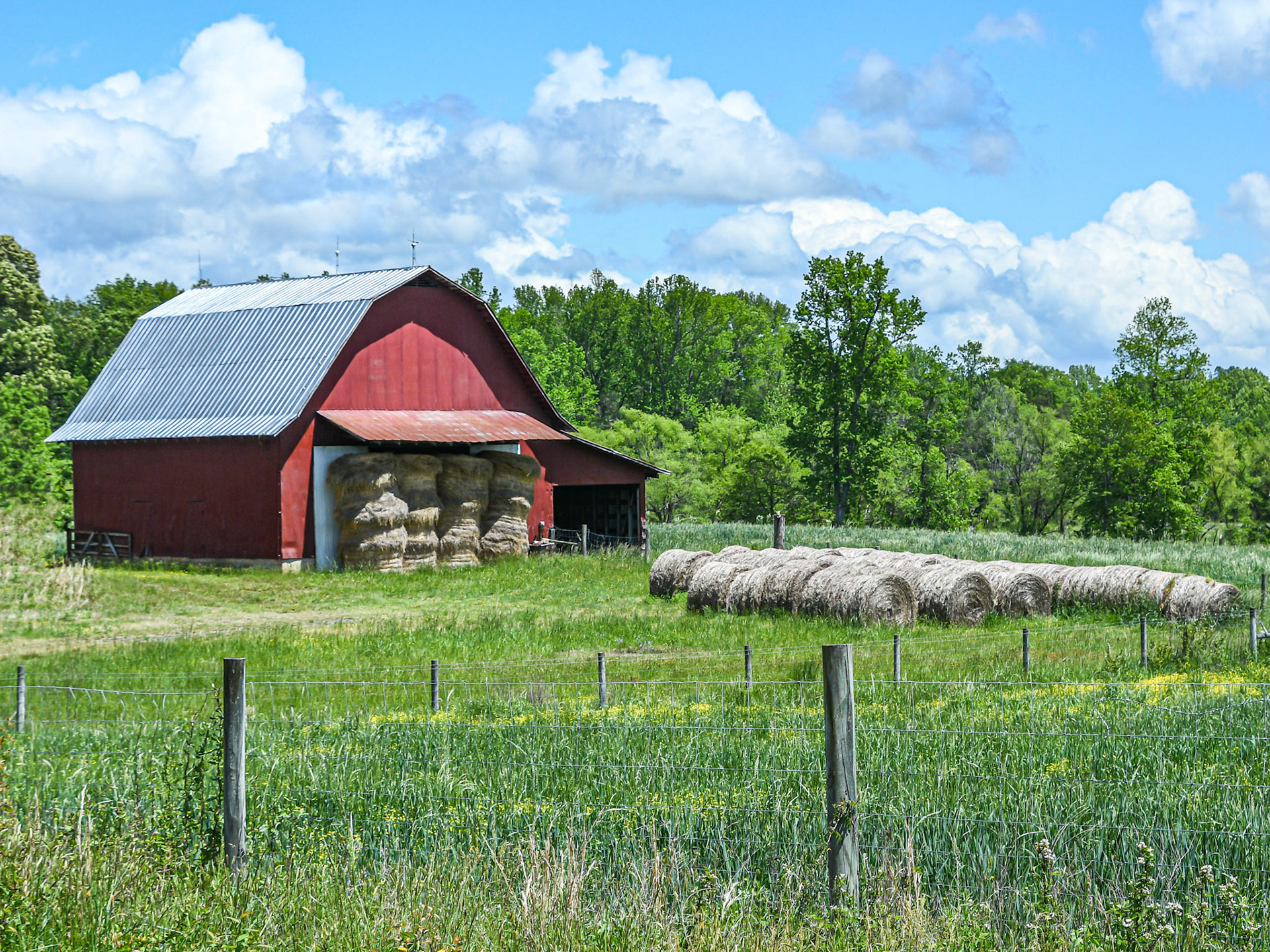 Julian, NC
