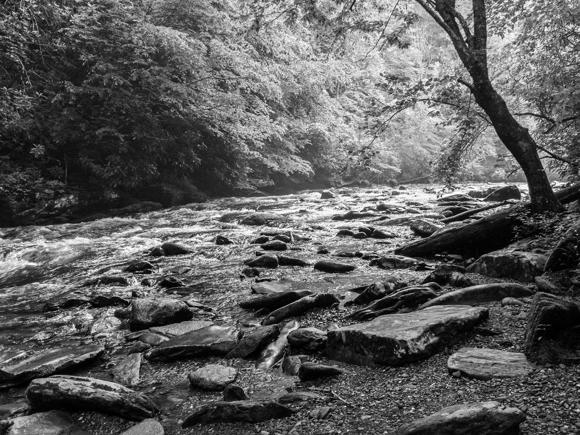 Bryson City, NC