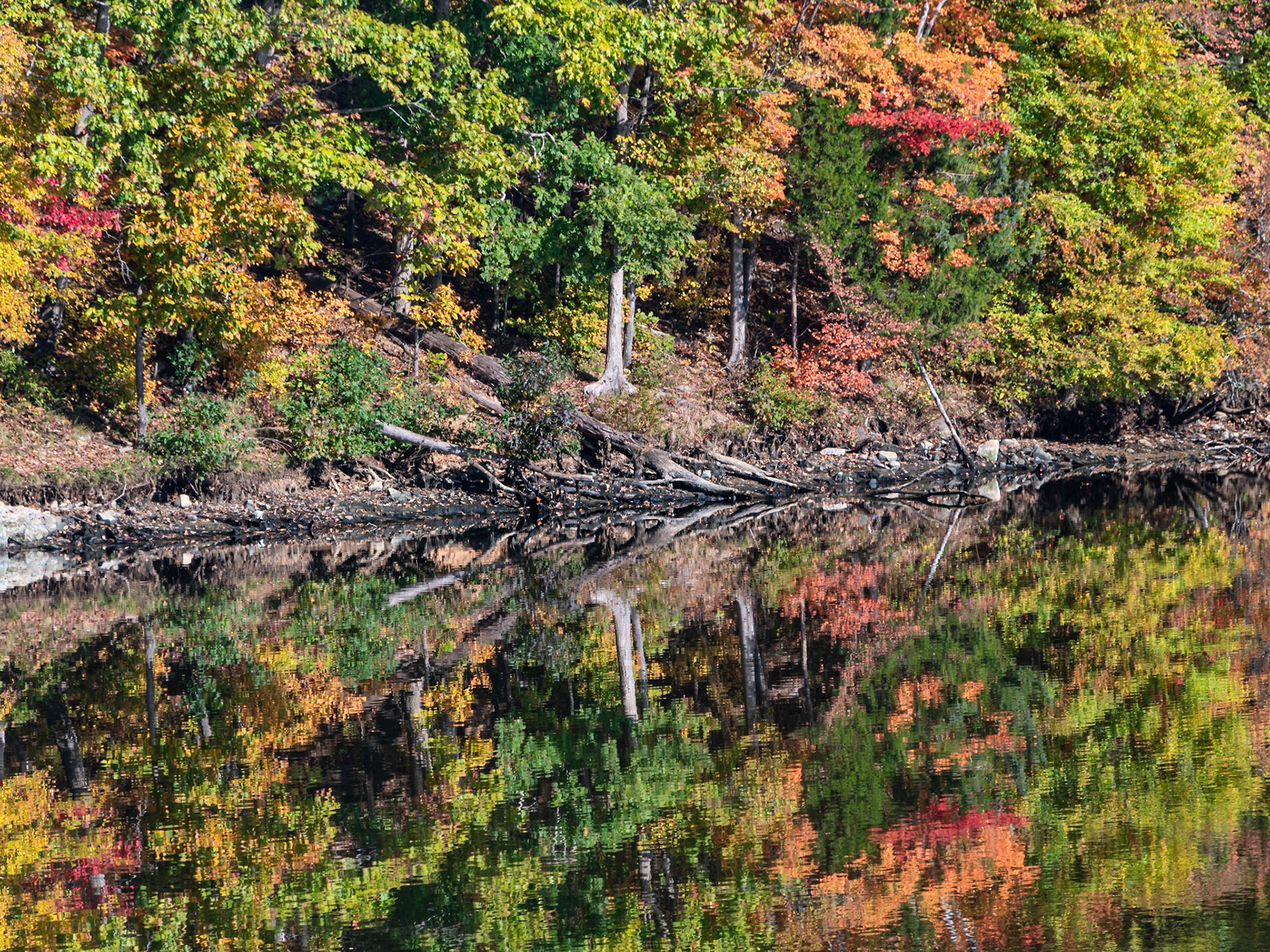 Tuckertown Lake
