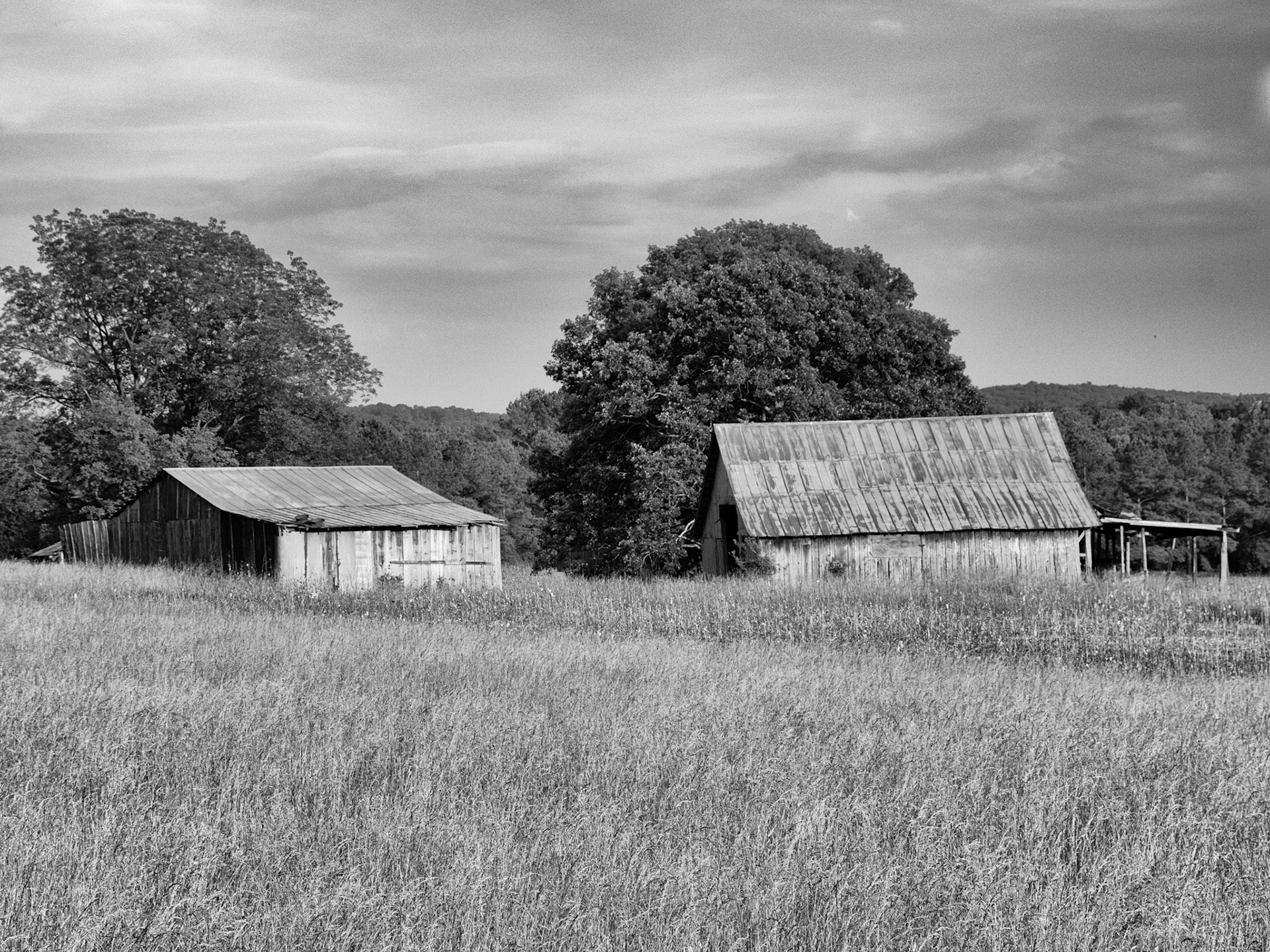 Asheboro, NC