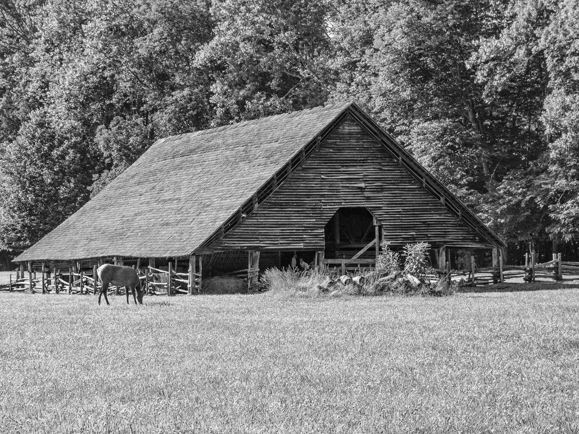 Cherokee, NC