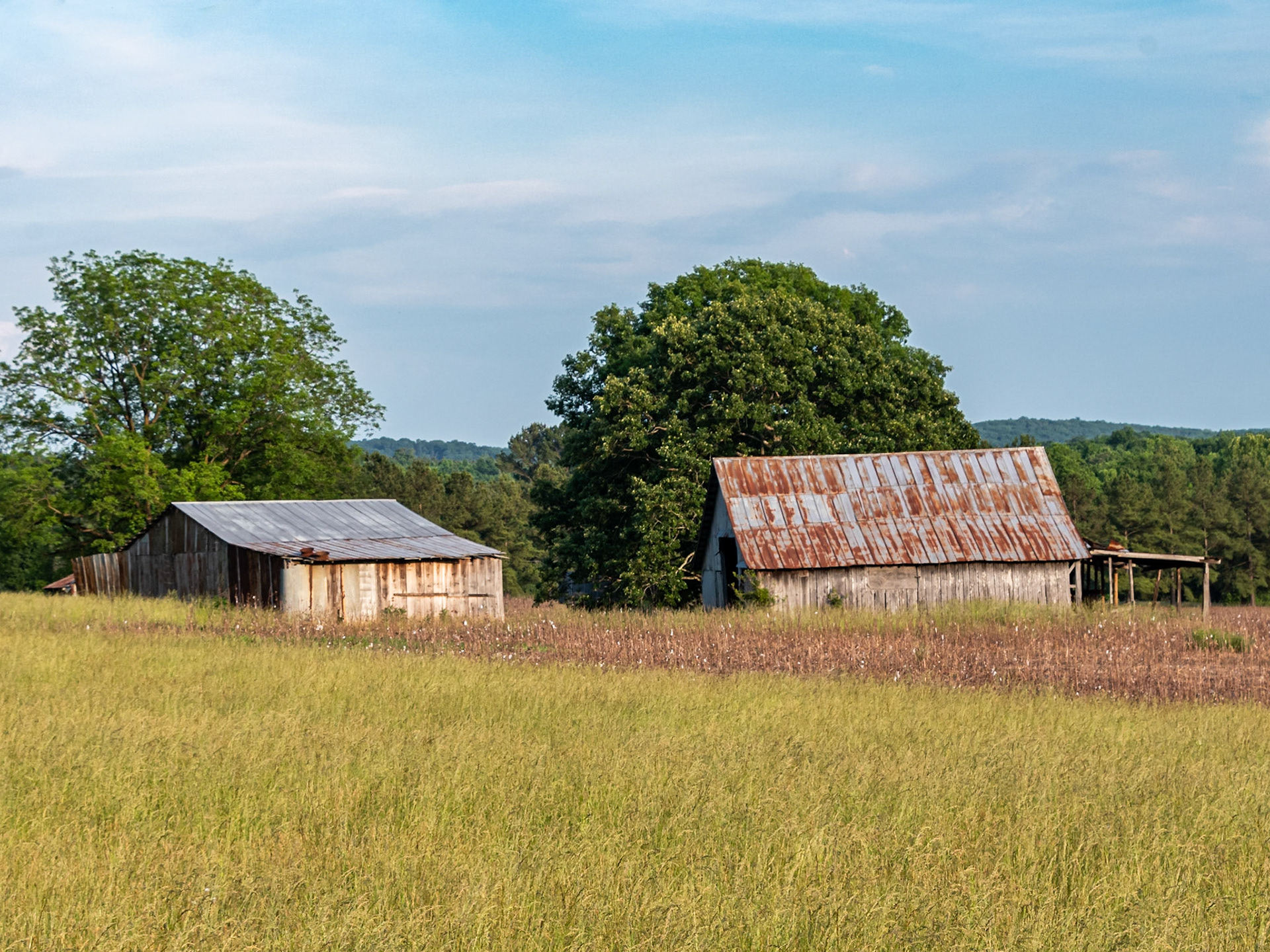 Asheboro, NC
