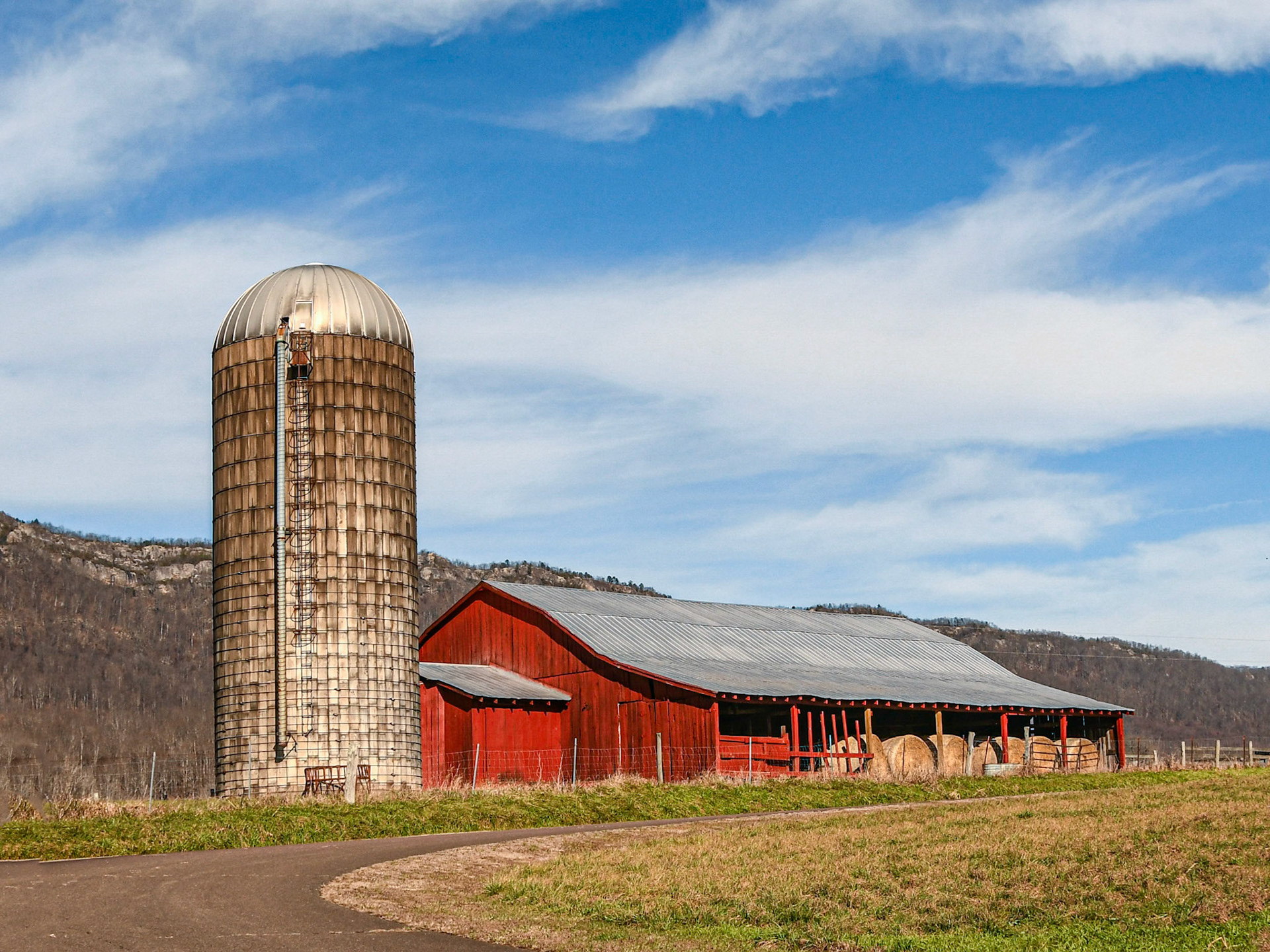 Speedwell, Tenn