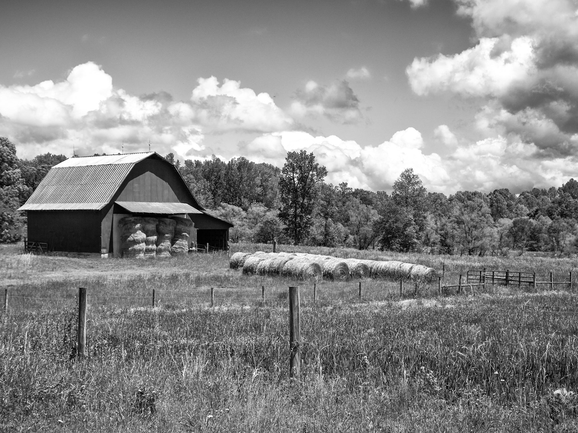 Julian, NC
