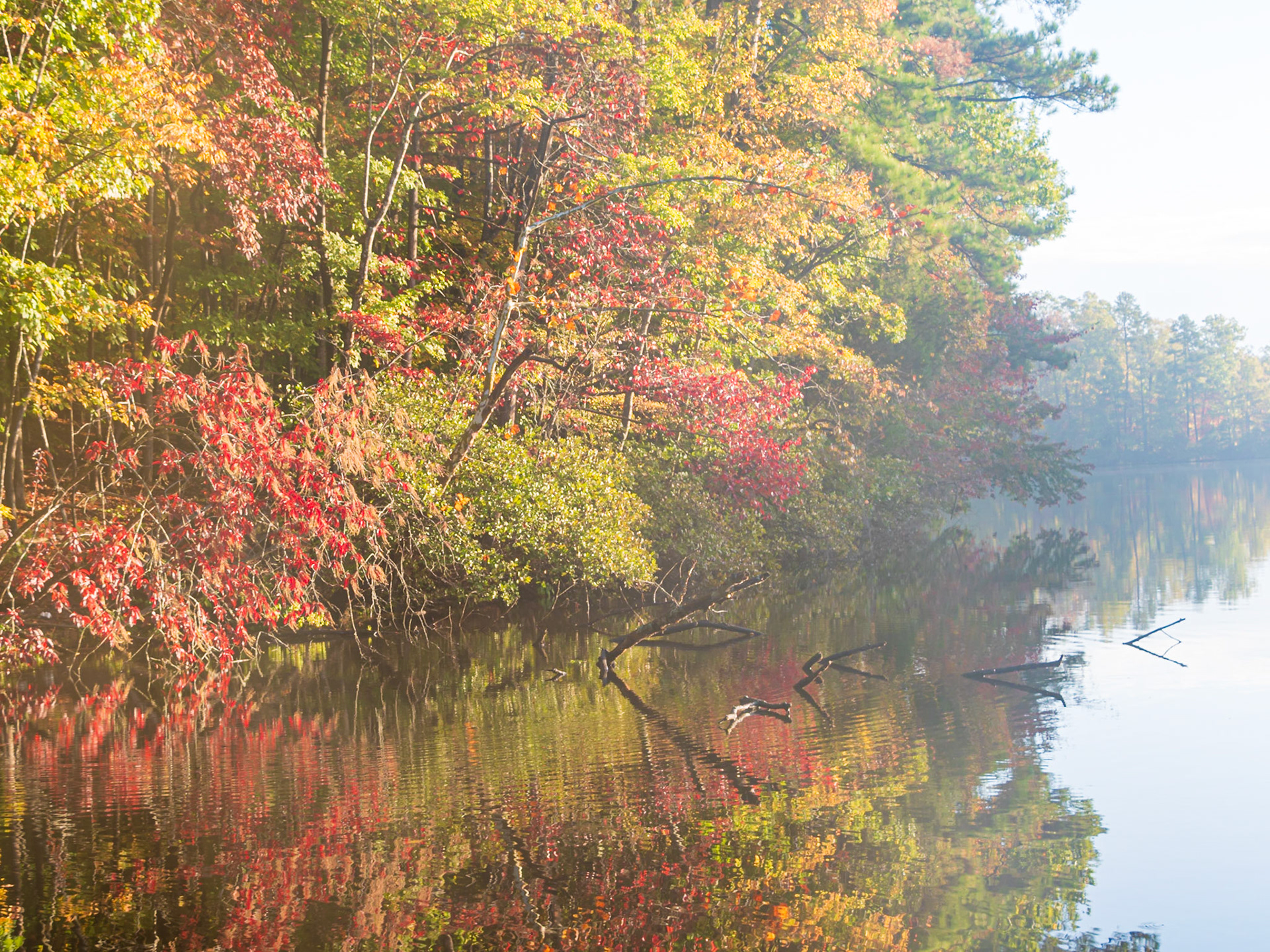 Asheboro, NC