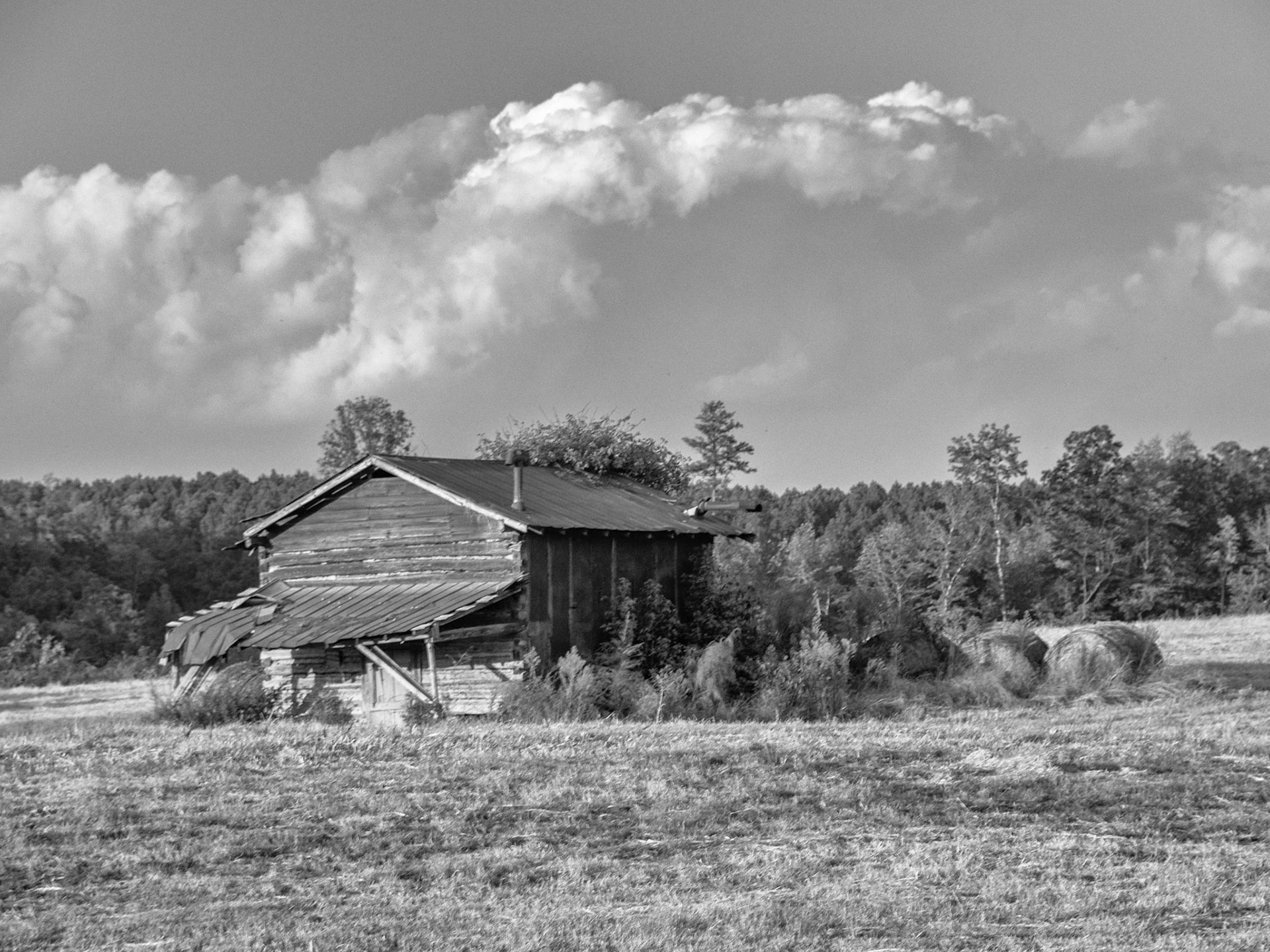 Seagrove, NC
