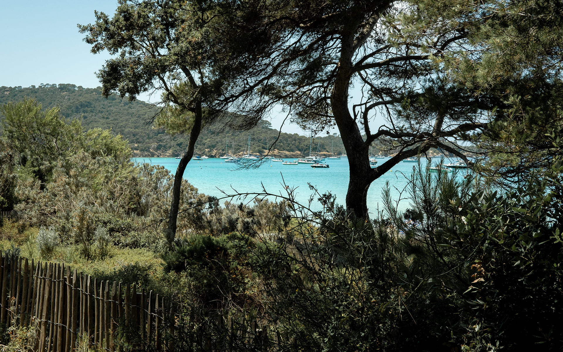 Ile de Porquerolles