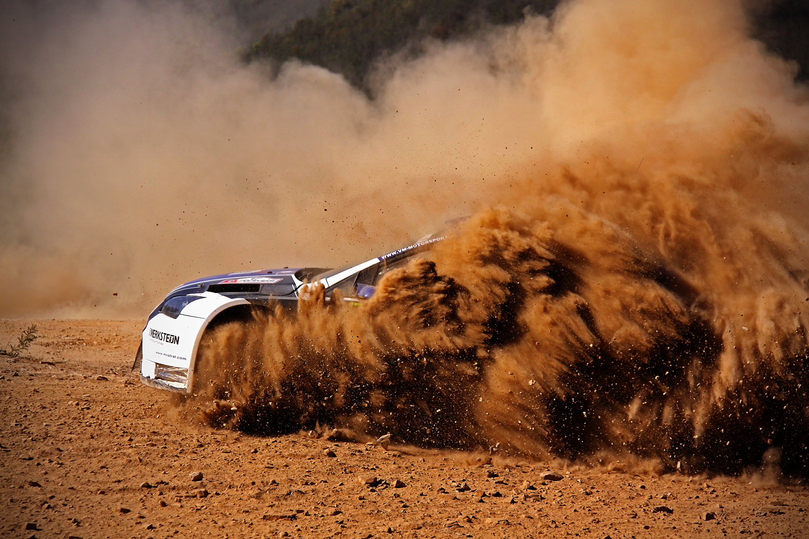 Rally de Portugal 2009 (International Loupe Awards 2014 - Bronze Award)
