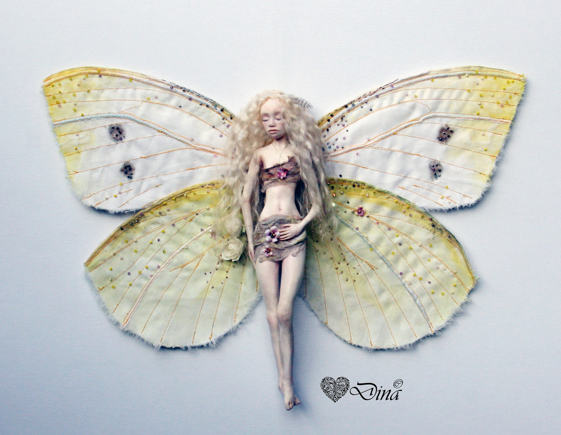 Sp Cabbage Moth