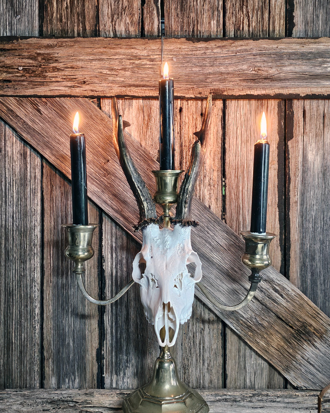 Skull candle holders