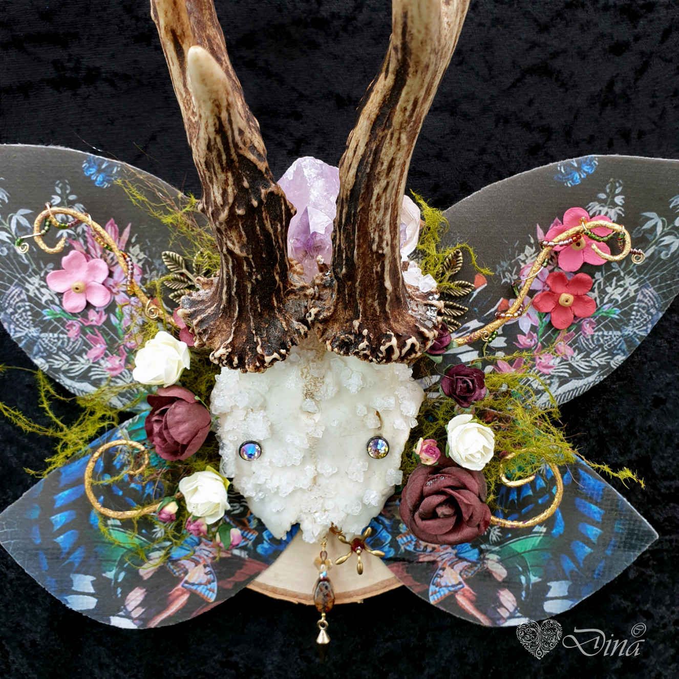 Oddities & taxidermy