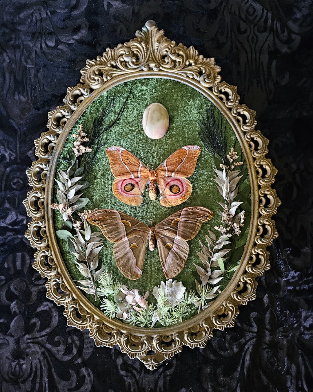 Vintage butterfly frames