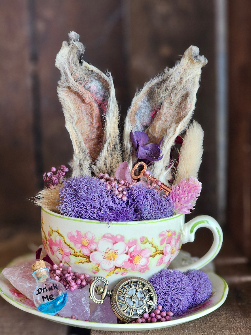 Oddities & taxidermy