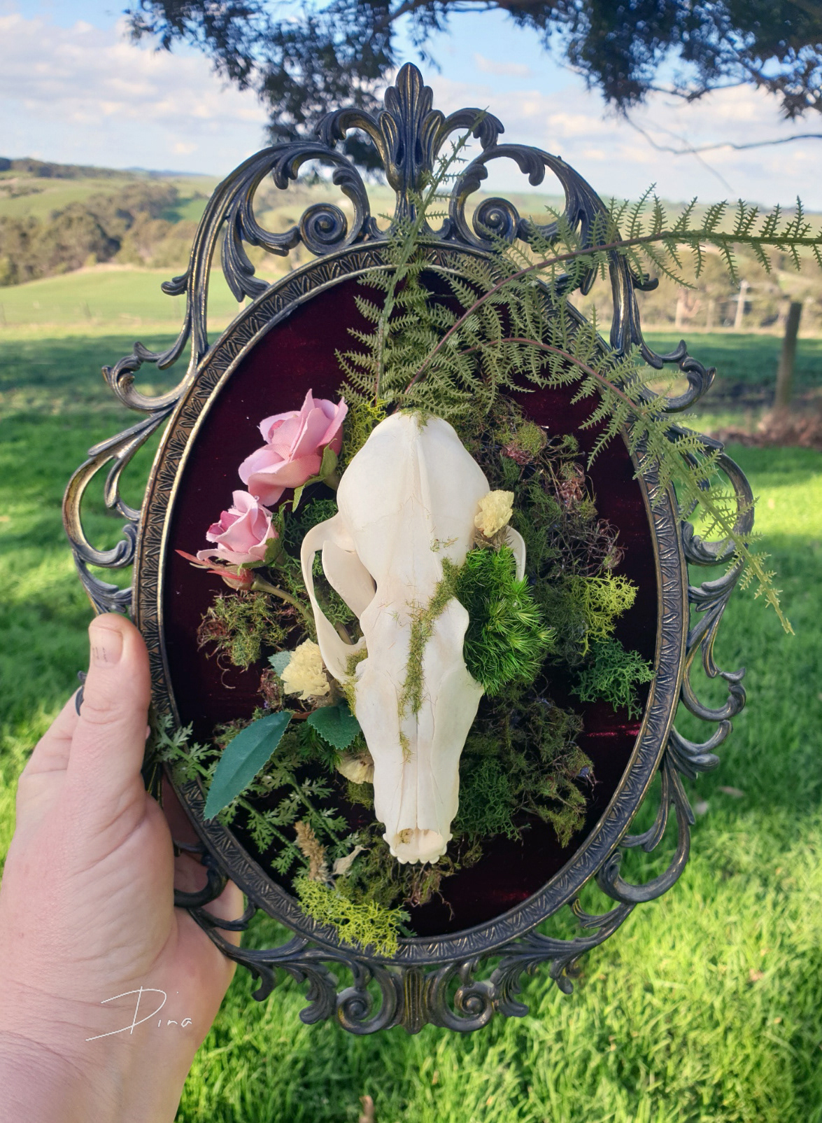 Skull art