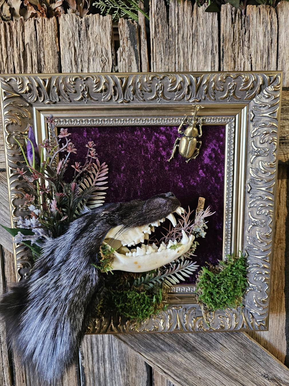 Taxidermy