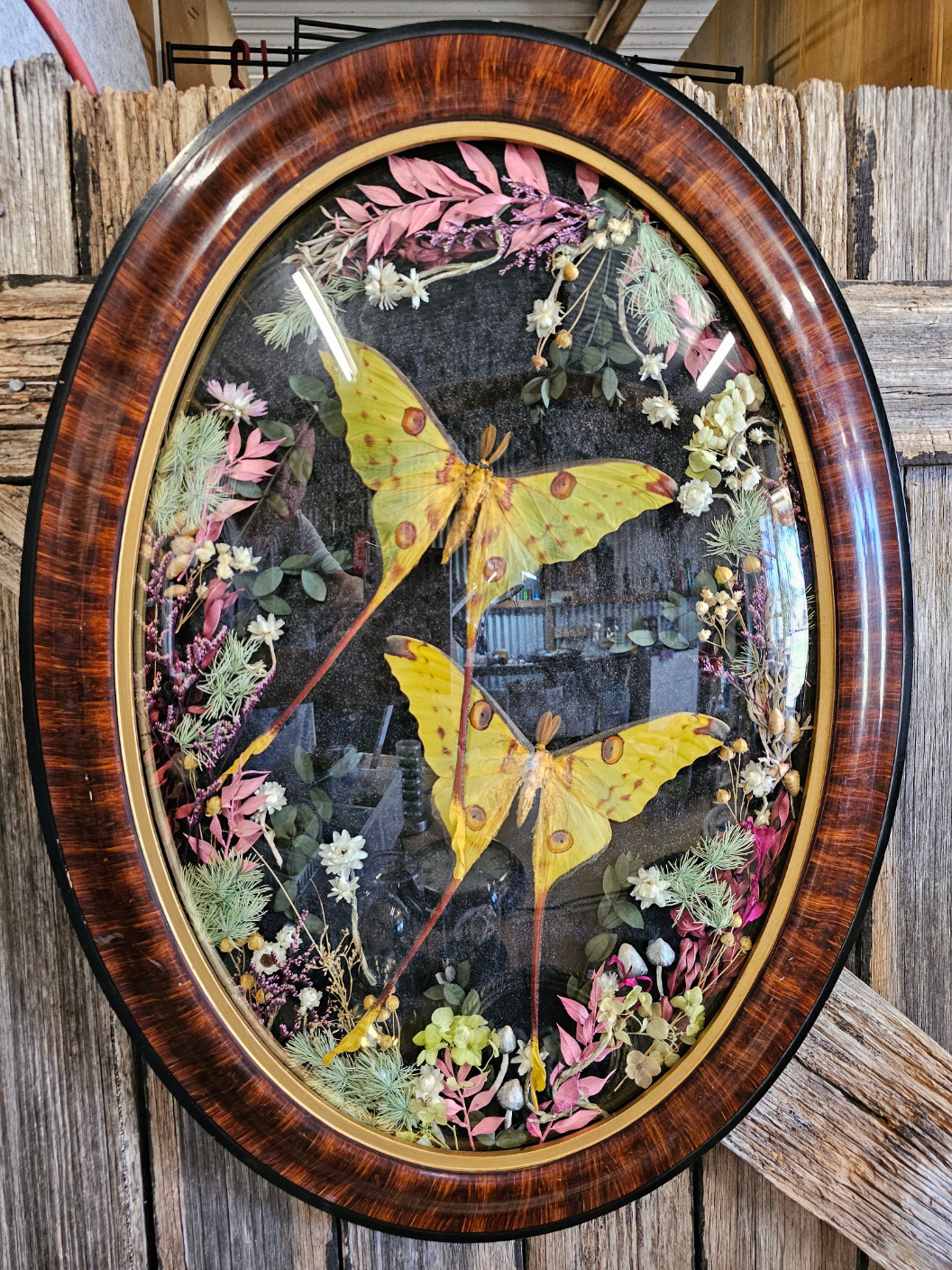 Vintage frames
