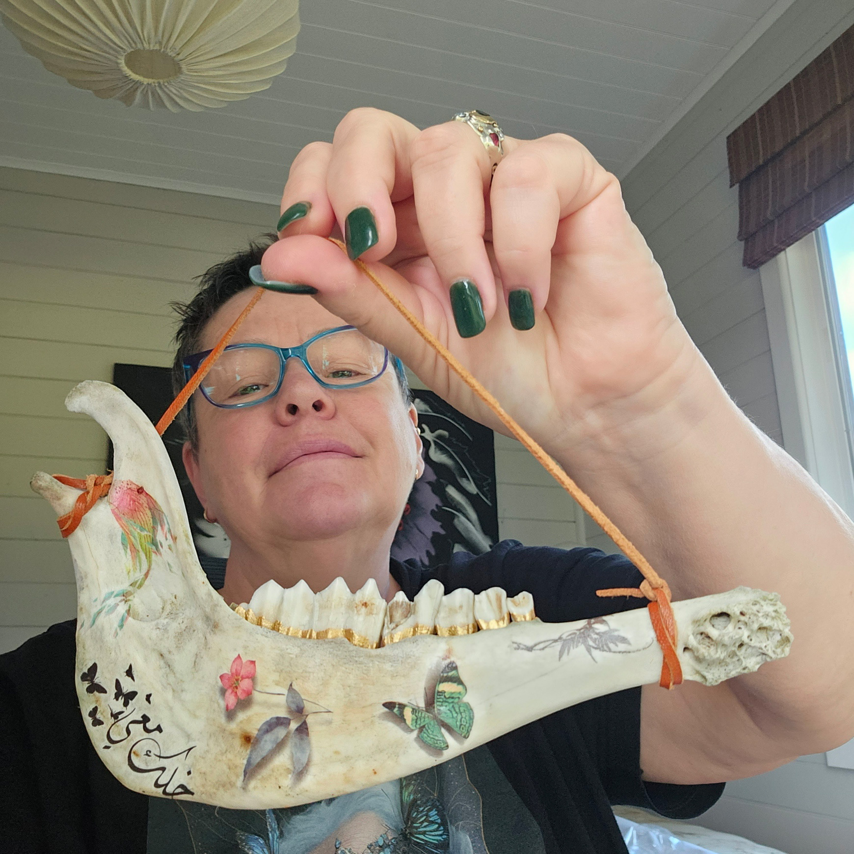 Oddities & taxidermy