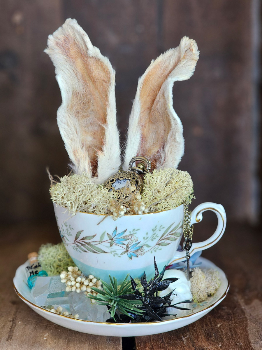Oddities & taxidermy