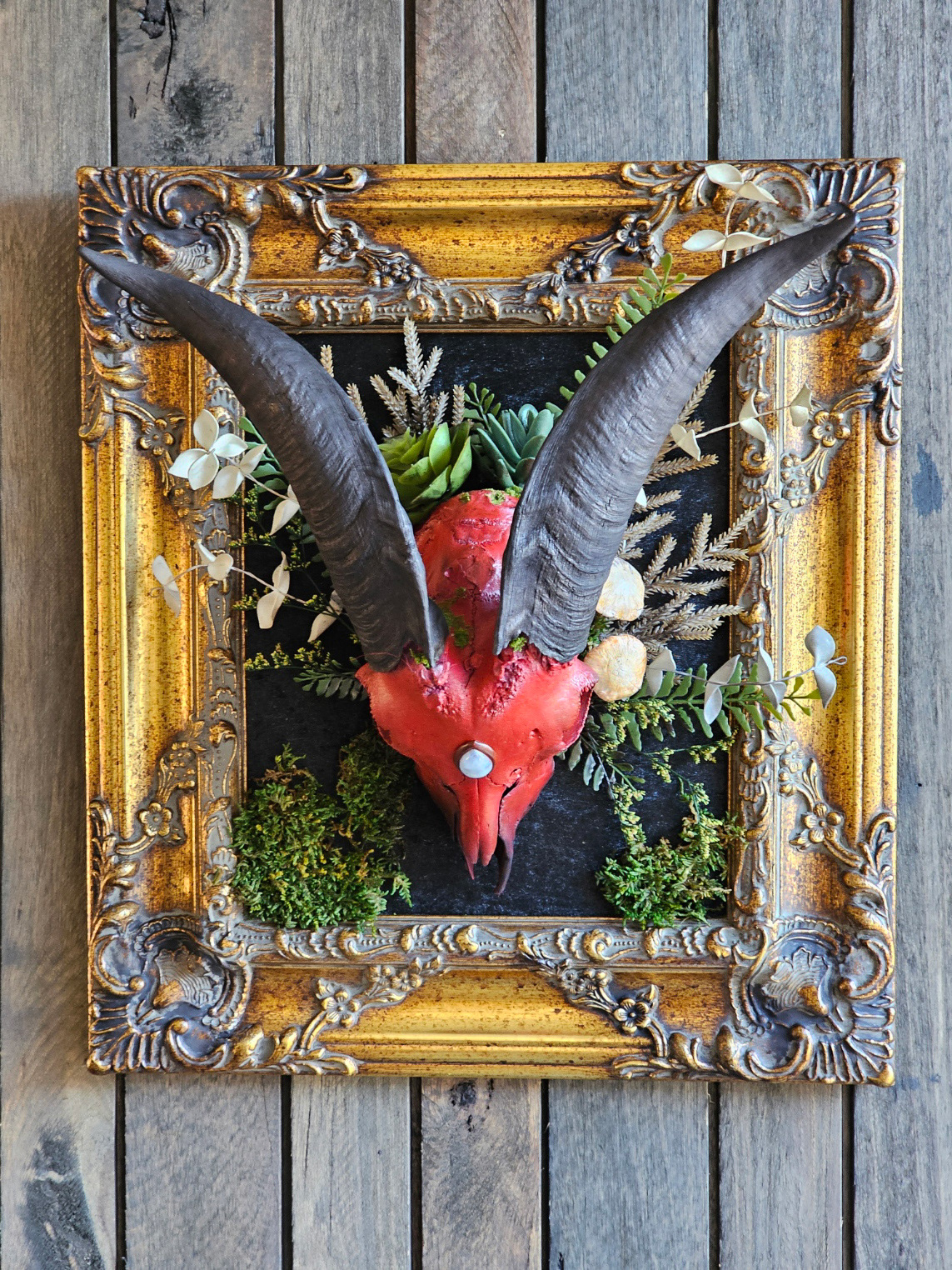 Oddities & taxidermy