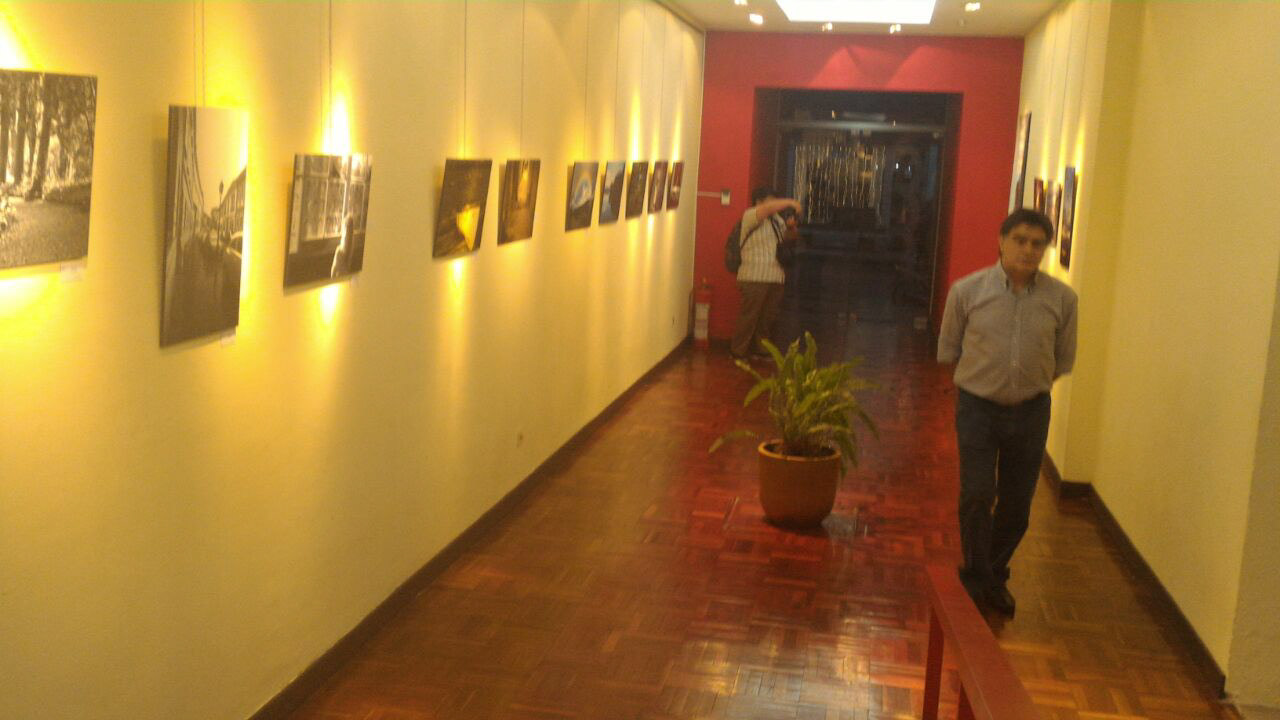 Vista panorámica de la muestra