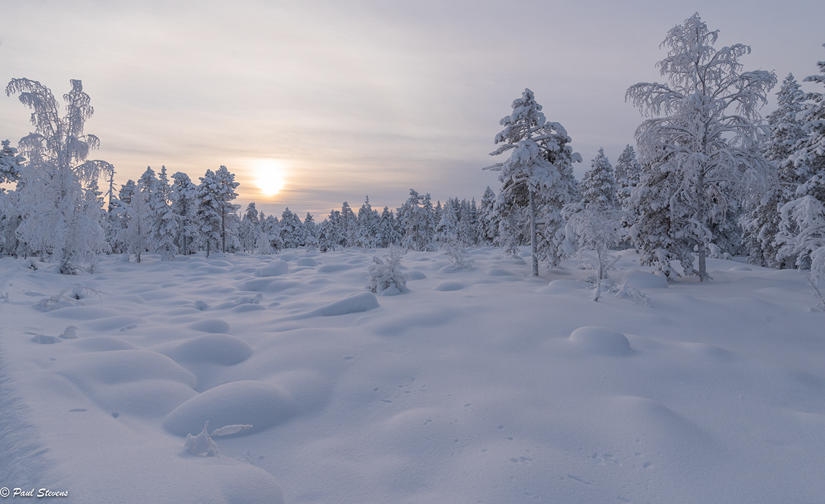 Paul Stevens - FinnPaulPhoto - Pallas-Yllästunturi