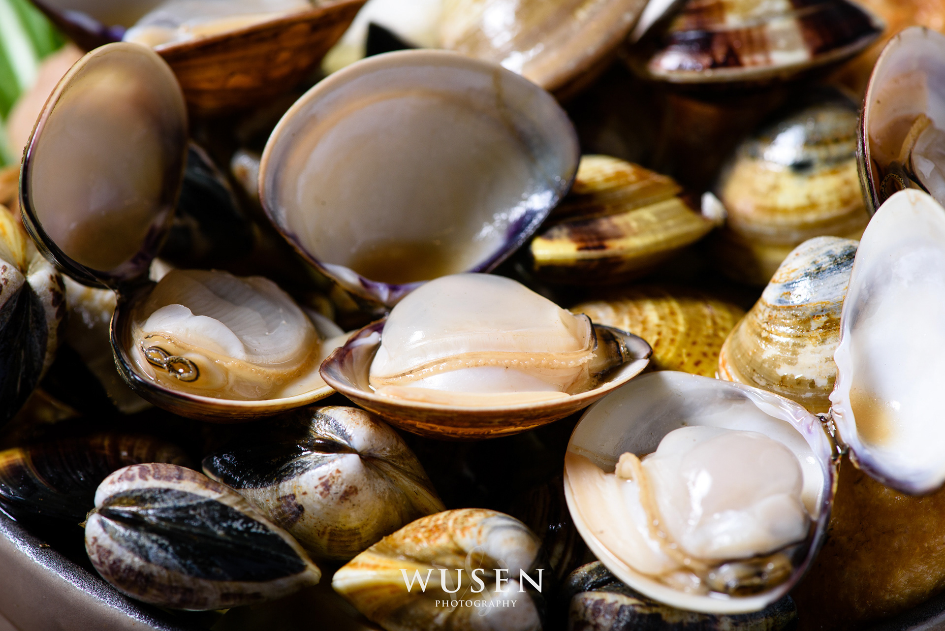 蛤,海鮮食材拍攝, 美食拍攝