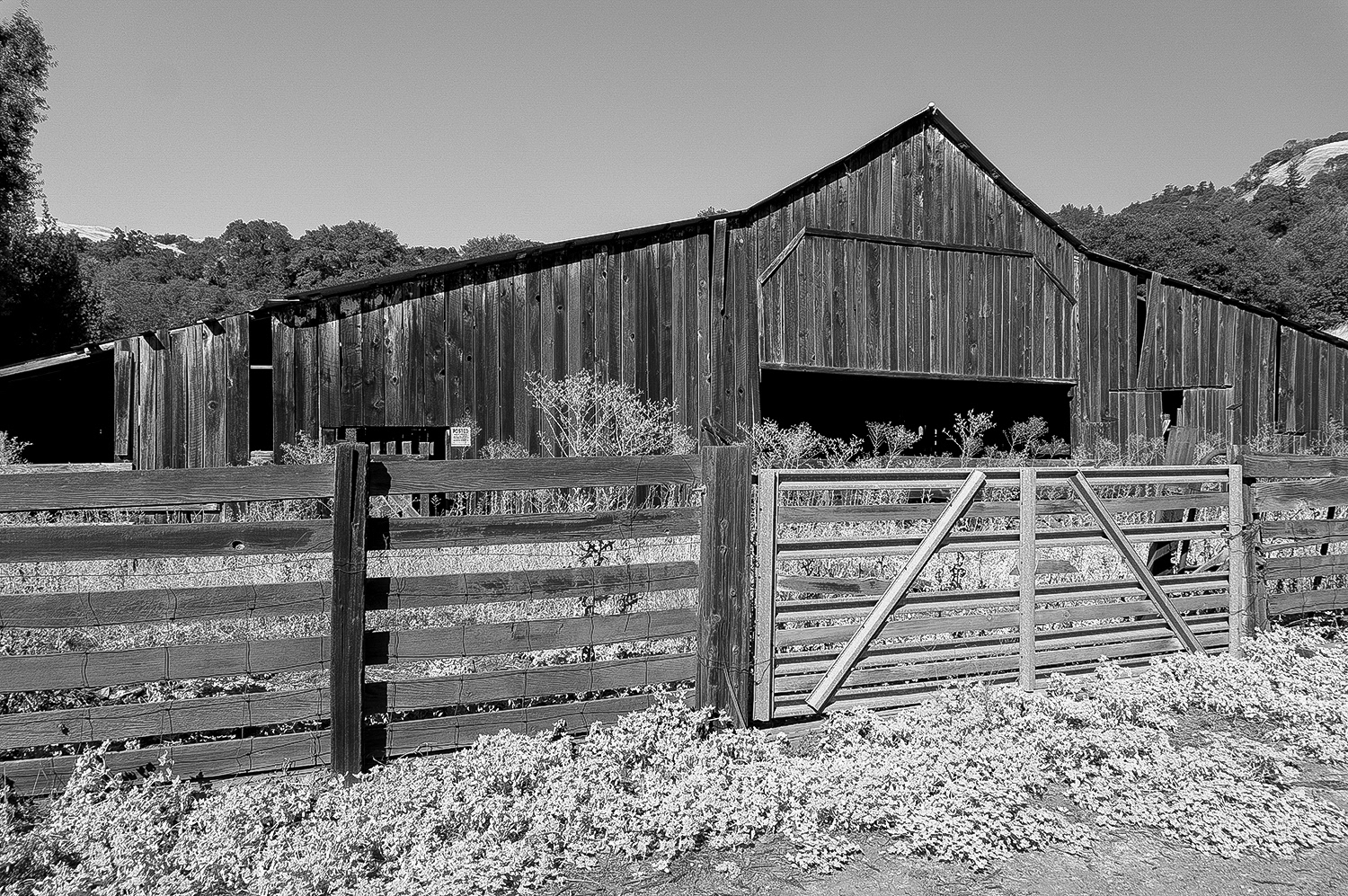 California, 2016