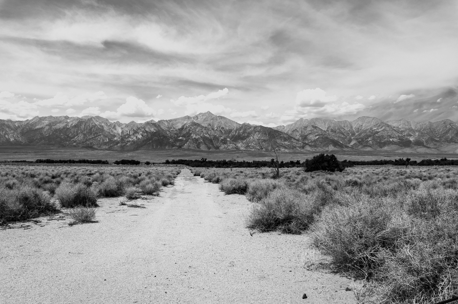 The road to Death Valley