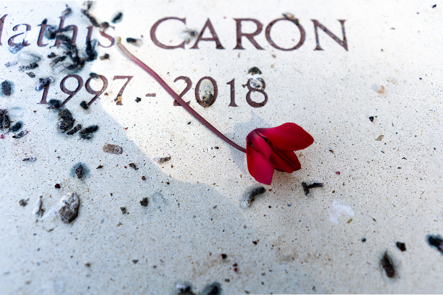 2019