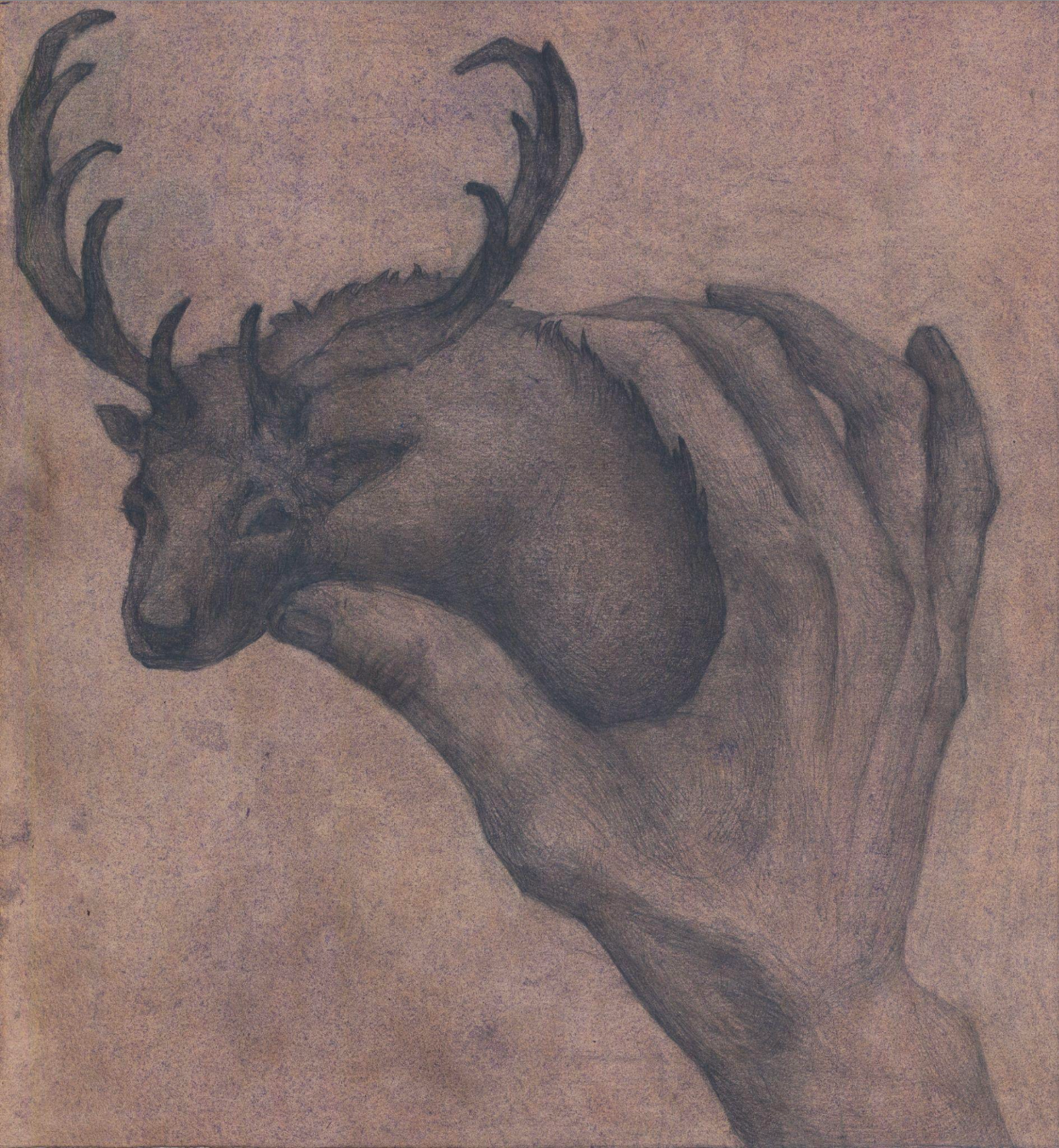 The Fawn, 2025