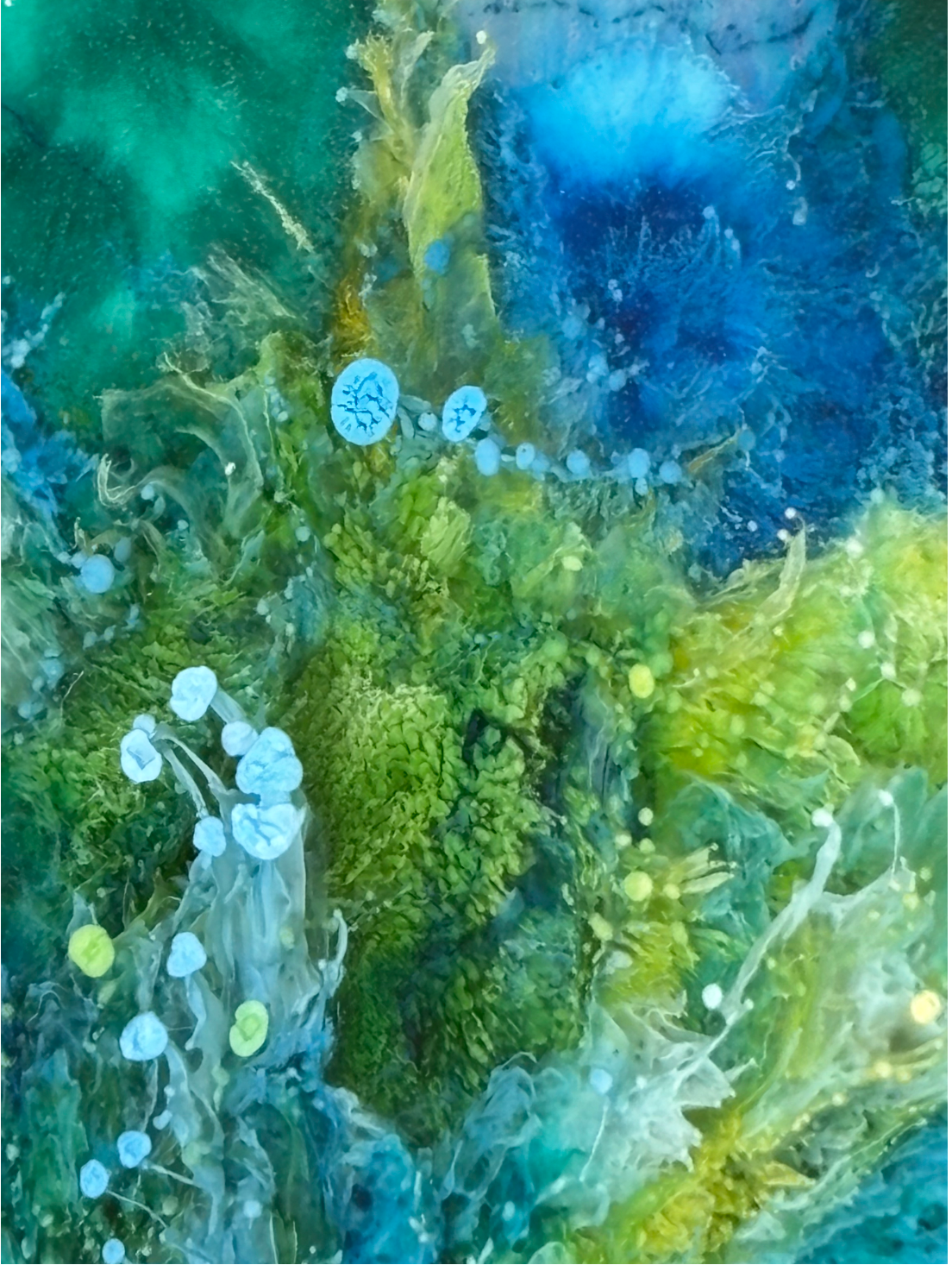 Biologically active cells, 2025, glass print, 39 x 27.5 in